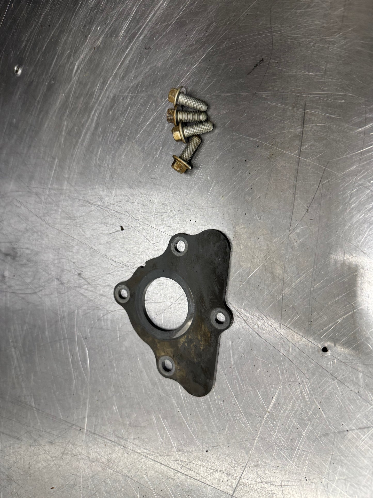 LS1 CAM PLATE WITH BOLTS #N807