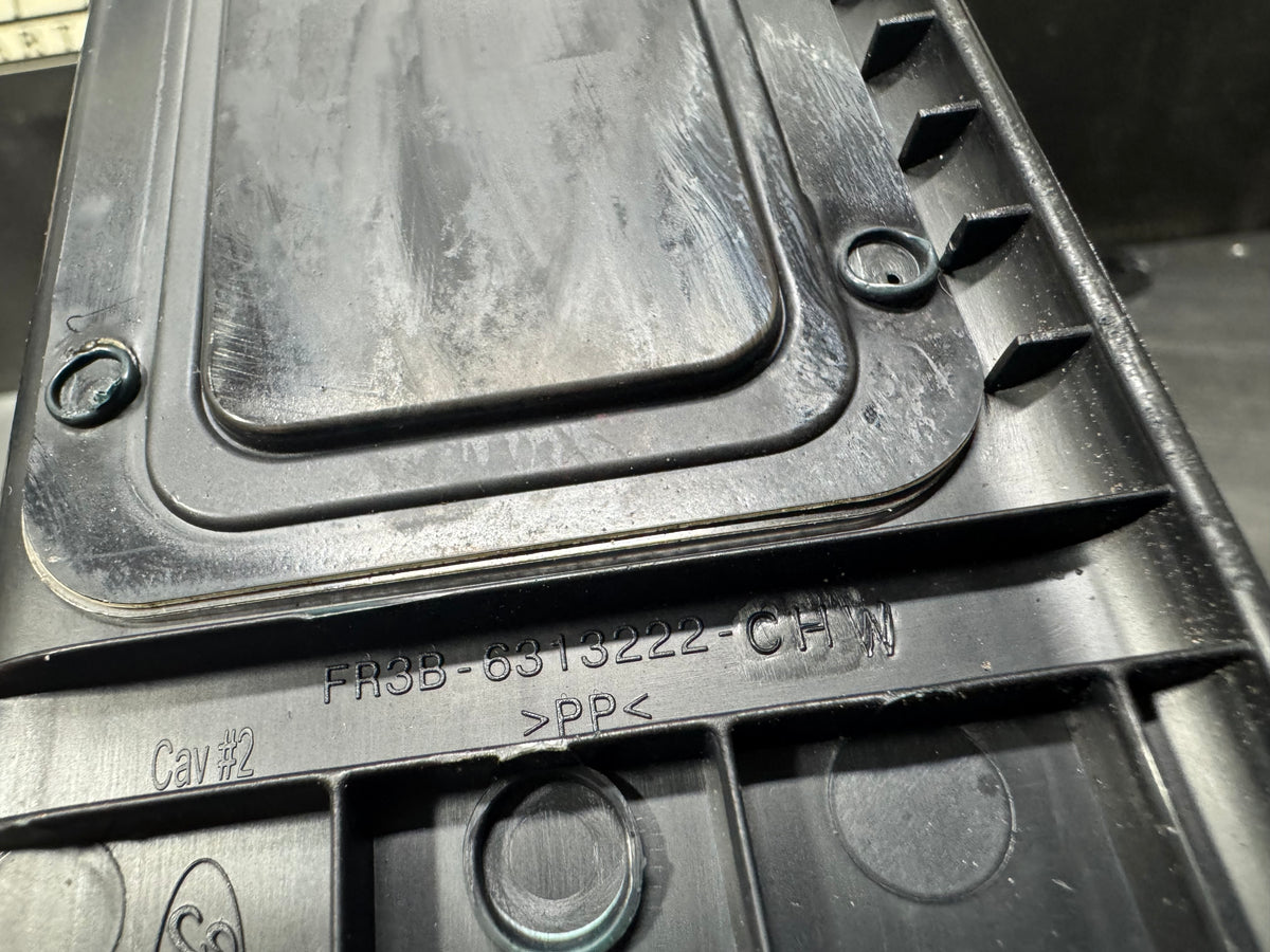 15-17 FORD MUSTANG GT ILLUMINATED DOOR SILLS PAIR #V1